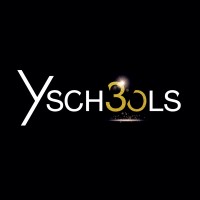 Y SCHOOLS Logo