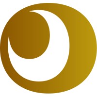 Vizyonevi Danışmanlık ve Etkinlik Logo