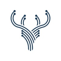 Hacettepe Üniversitesi Yapay Zeka Topluluğu Logo