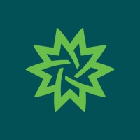 Matcha Logo