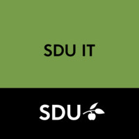 SDU IT Logo