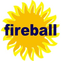 Fireball Securitas & Consultants Pvt. Ltd. Logo