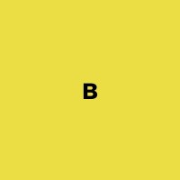 WE ARE BRAVAS Logo