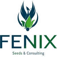 Fenix S.r.l. Logo