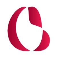 Stefano Baseggio Studio Logo