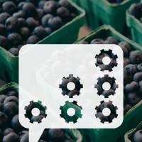 EBRD Advice for Small Businesses in Moldova Logo