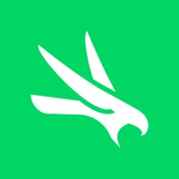 FALCON V SYSTEMS Logo
