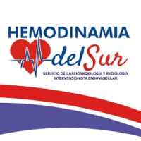 Hemodinamia del Sur Logo