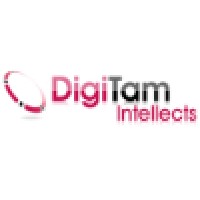 DigiTam Intellects Consulting Pvt. Ltd Logo