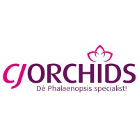 CJ Orchids Logo