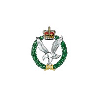 678 Squadron Army Air Corps Reserves Milton Keynes/Luton Logo