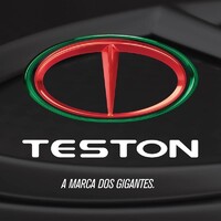 TESTON Logo