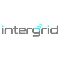 Intergrid B.V. Logo
