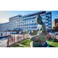 Birmingham Womens Hospital Logo