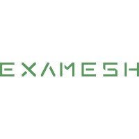 ExaMesh Logo