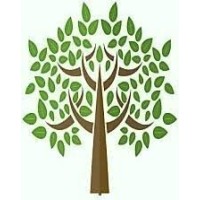 The Speech Tree Therapy Center Logo