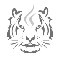 Sondaica Technology AB Logo