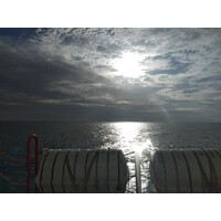 Whitman Laboratories Ltd UK Logo