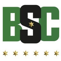 BSC TEAM Logo