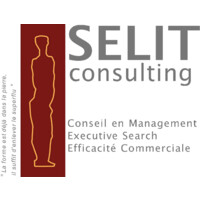 SELIT Consulting Logo