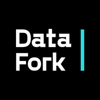 DataFork Logo