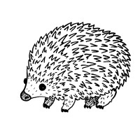 Hedgie Film Logo