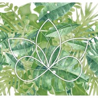 BAU Lotus Club Logo