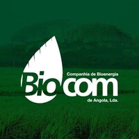 BIOCOM Logo