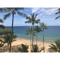 Tropical Bound Condo Rentals Logo