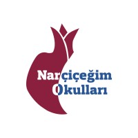 Narcicegim Logo