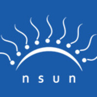 n s u n / انسان Logo