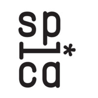 Spica Software Logo