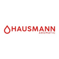 Hausmann S.L. Logo