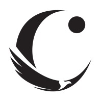 Condor Group Limited Logo