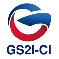Groupe GSI/GS2I CI Logo