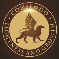 Consendo - Business Consulting Services Logo