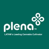 Plena Global Holdings Logo