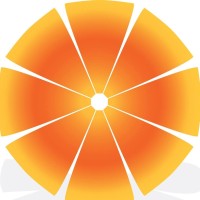 Orange Solutions Ltd Logo
