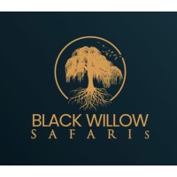 Binex Consultancy Logo