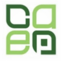 Celtic Asset & Equity Partners Logo