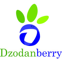DzodanBerry Logo