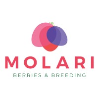 Molari Società Agricola Logo