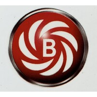 Bilview Energy Limited Logo