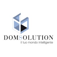 Domsolution Logo