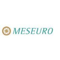 MESEURO Logo