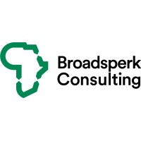 Broadsperk Consulting Logo