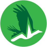 Corvid Analytics Logo