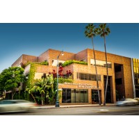 Beverly Hills Cancer Center Logo