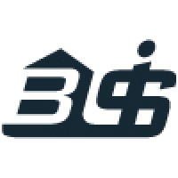 BSI Financial Services Logo