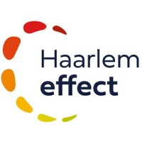 Stichting Haarlem Effect Logo